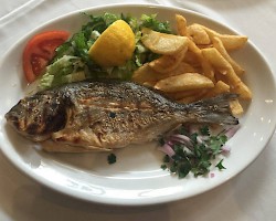 Grilled Silver Fish