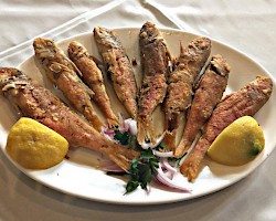 Small Red Fish, Fried or Grilled