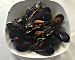 Fresh Steamed Mussels