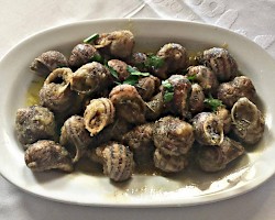 "Boubourista" Snails