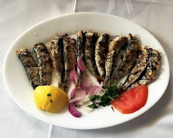 Grilled Sardines